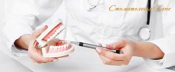 romashka2